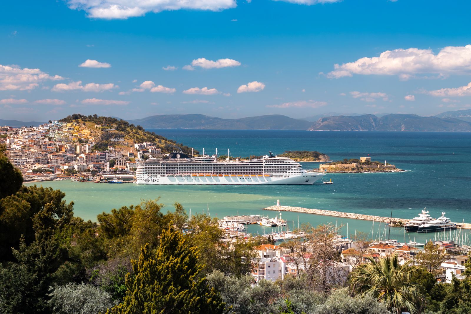 Cruise ship anchored off a hillside port town, the subject of cruise port guides